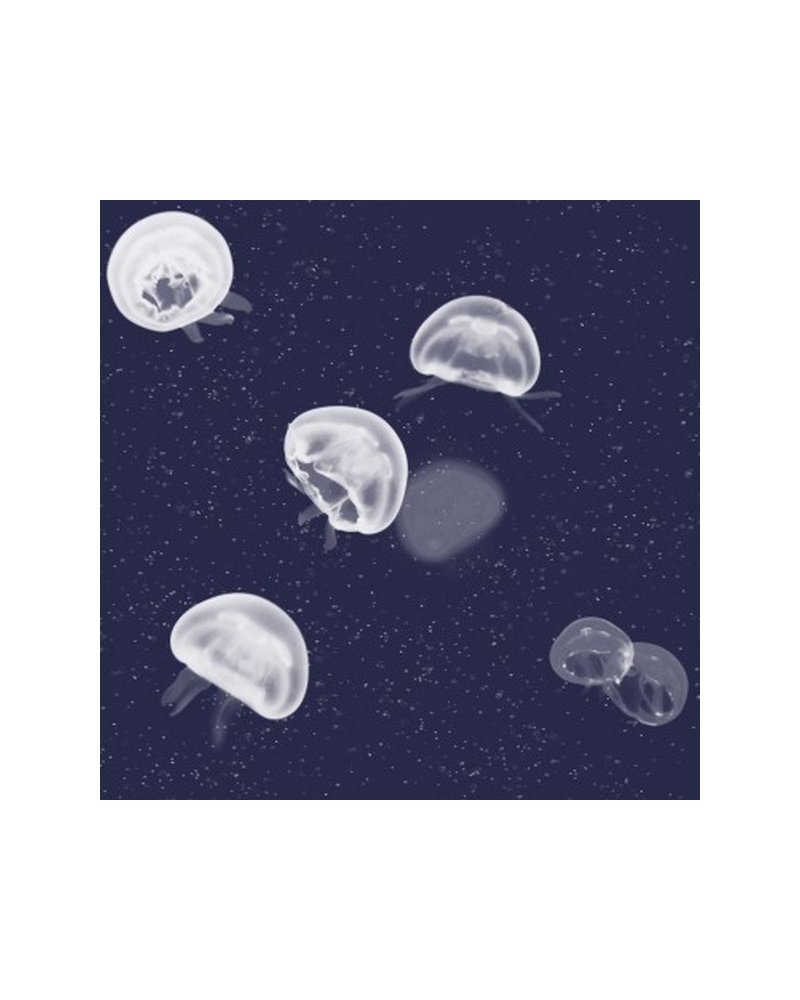 Wallpaper 5800011 Jellyfish blue - COORDONNE