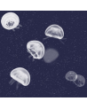 5800011 Jellyfish blue