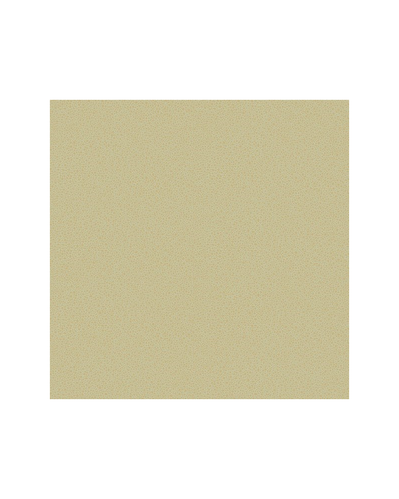 Papel Pintado Goldstone 107-9041 - COLE and SON