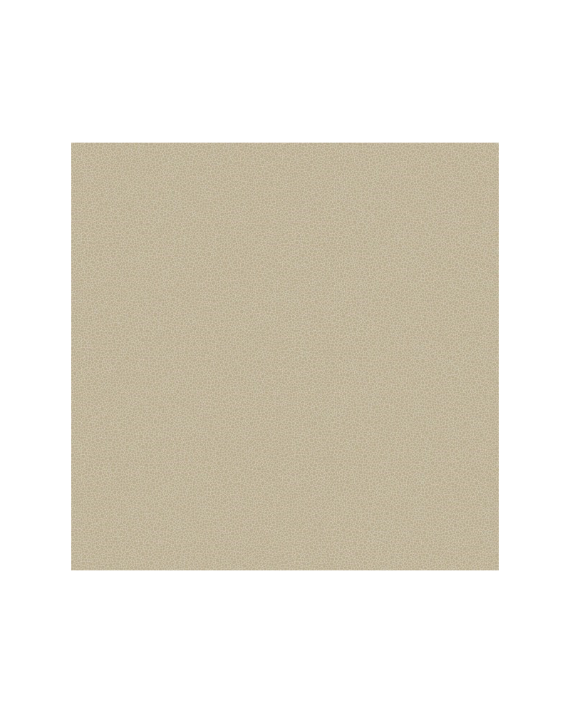 Papel Pintado Goldstone 107-9042 - COLE and SON