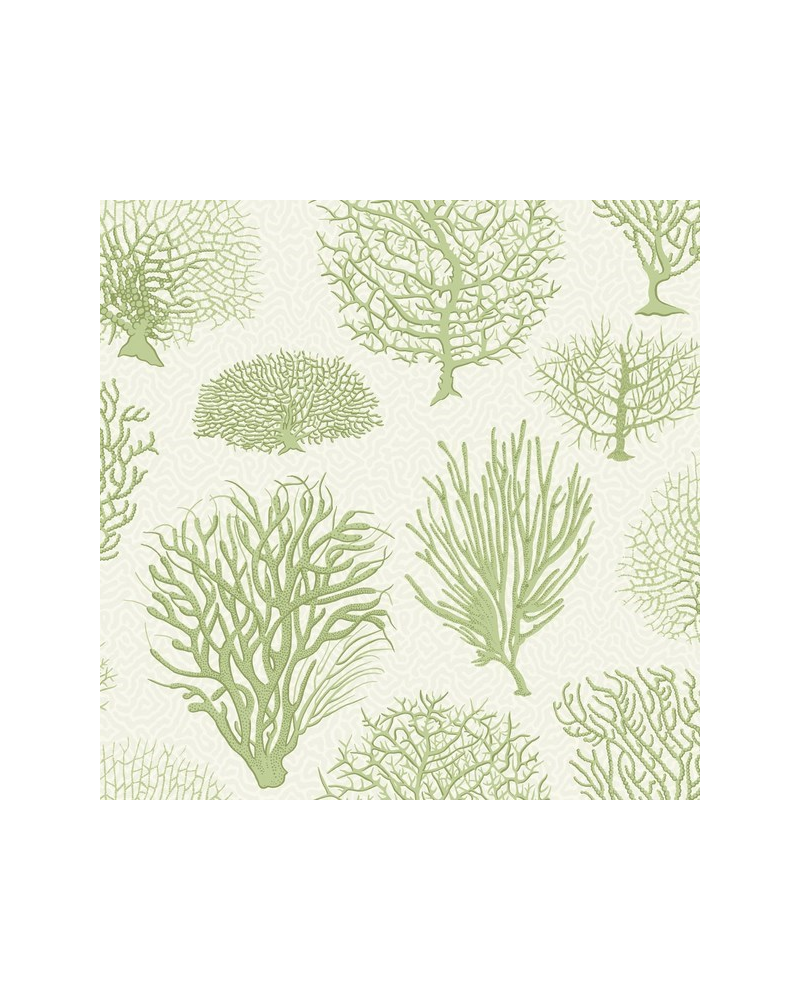 Papel Pintado Seafern 107-2008 - COLE and SON