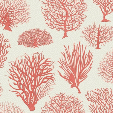 Wallpaper Seafern 107-2011 - COLE and SON