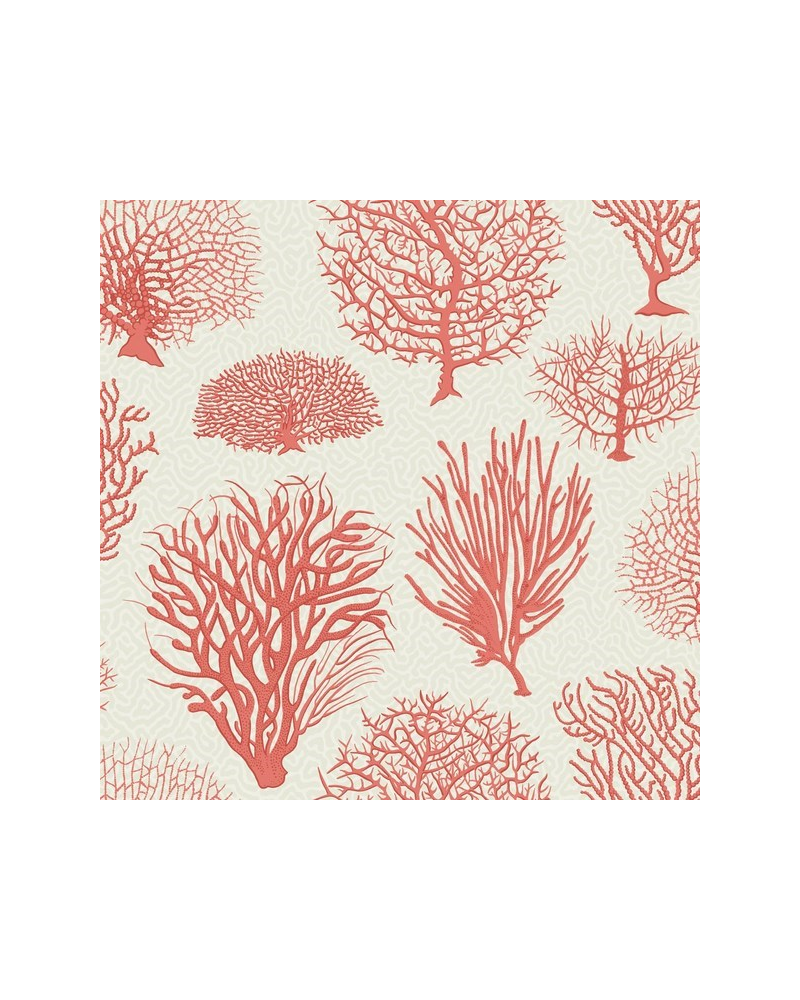 Papel Pintado Seafern 107-2011 - COLE and SON