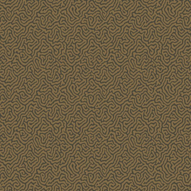 Wallpaper Vermicelli 107-4020 - COLE and SON