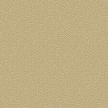 Wallpaper Vermicelli 107-4021 - COLE and SON