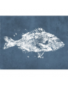 M 2501-2 POISSON