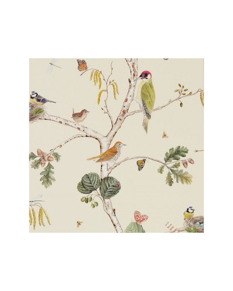 Papel Pintado WOODLAND CHORUS DWOW215703-cream multi - Sanderson