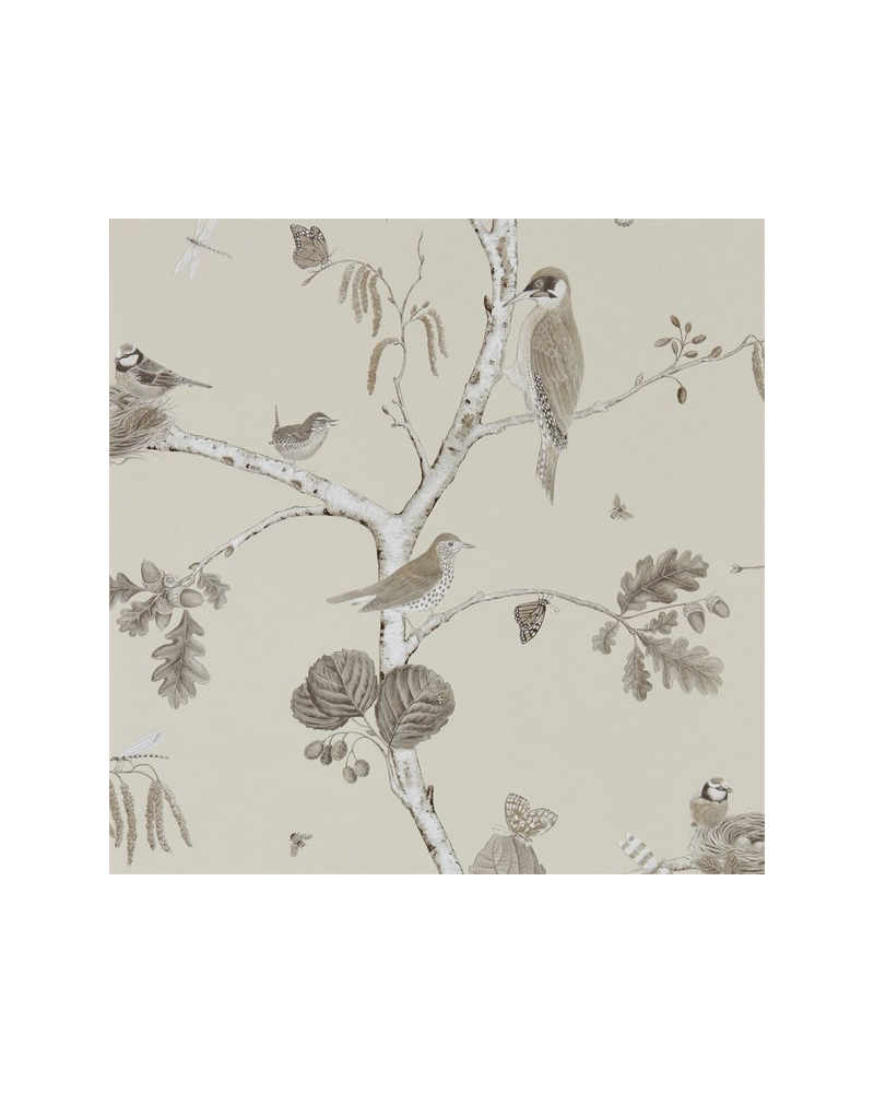 Papel Pintado WOODLAND CHORUS DWOW215704-sepia neutral - Sanderson