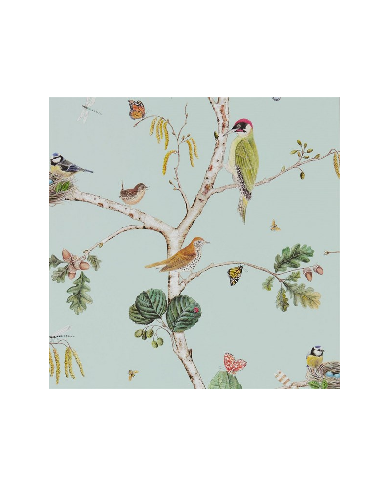 Papier peint WOODLAND CHORUS DWOW215706-sky blue multi - Sanderson