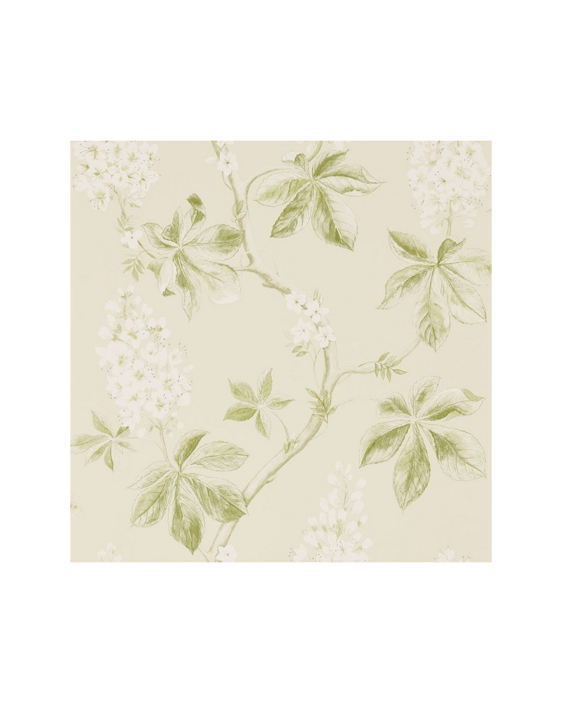 Carta da Parati CHESTNUT TREE DWOW215707-lemon lettuce - Sanderson