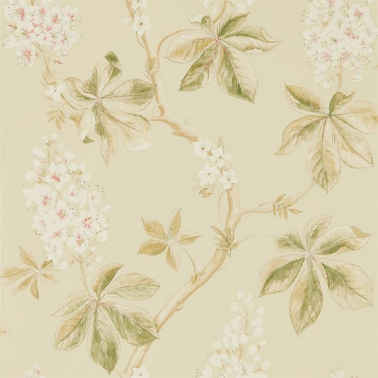 Carta da Parati CHESTNUT TREE DWOW215709-coral bayleaf - Sanderson