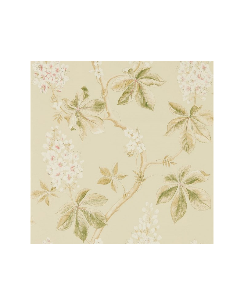 Carta da Parati CHESTNUT TREE DWOW215709-coral bayleaf - Sanderson