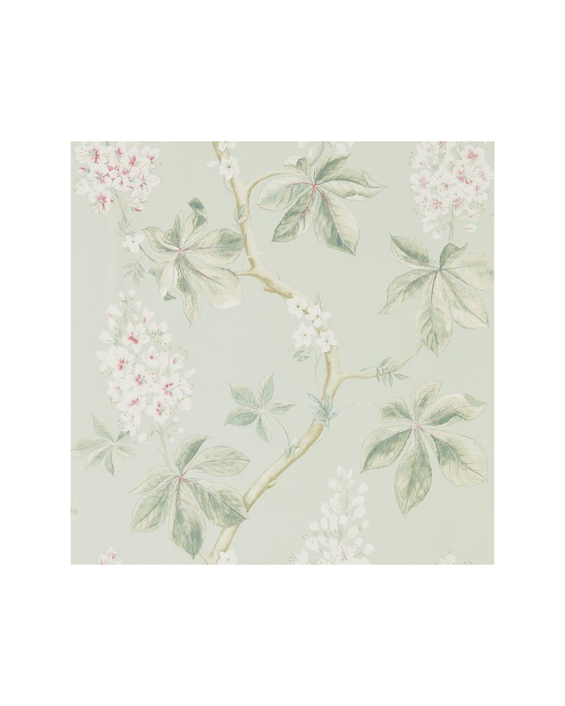 Carta da Parati CHESTNUT TREE DWOW215710-seaspray peony - Sanderson