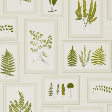 Papel Pintado FERN GALLERY DWOW215712-ivory green - Sanderson