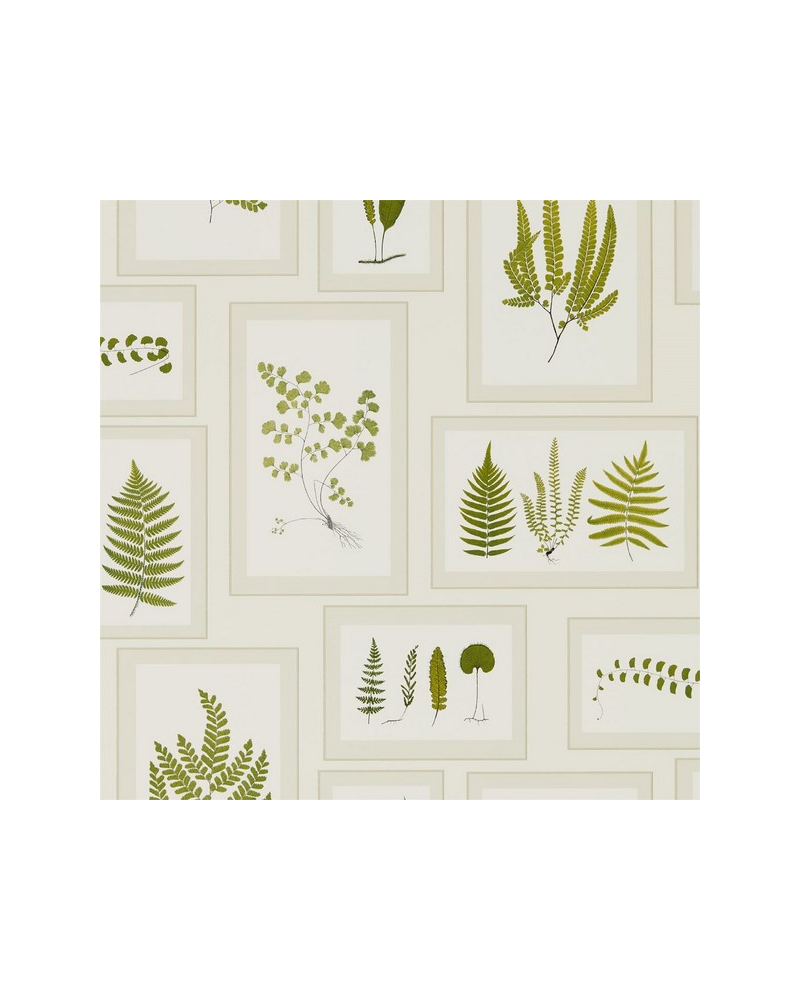 Papel Pintado FERN GALLERY DWOW215712-ivory green - Sanderson