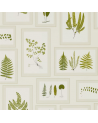 FERN GALLERY DWOW215712-ivory green