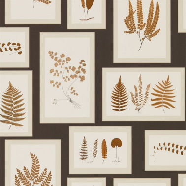 Papier peint FERN GALLERY DWOW215713-charcoal spice - Sanderson