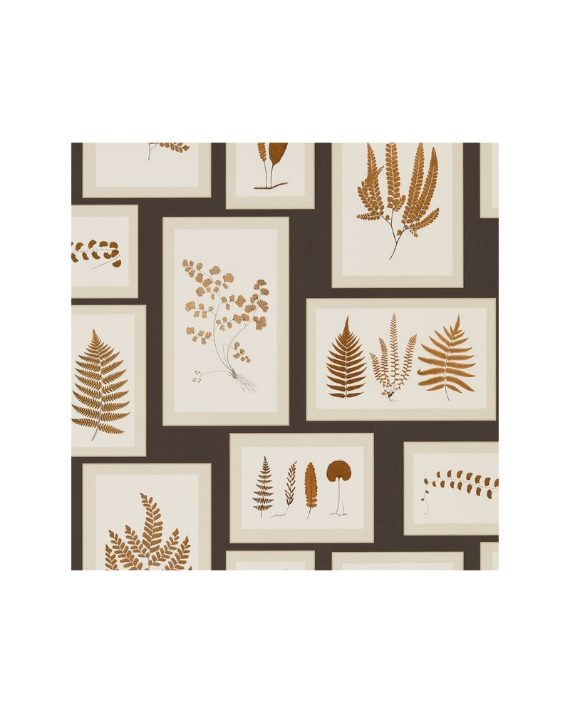 Papel Pintado FERN GALLERY DWOW215713-charcoal spice - Sanderson