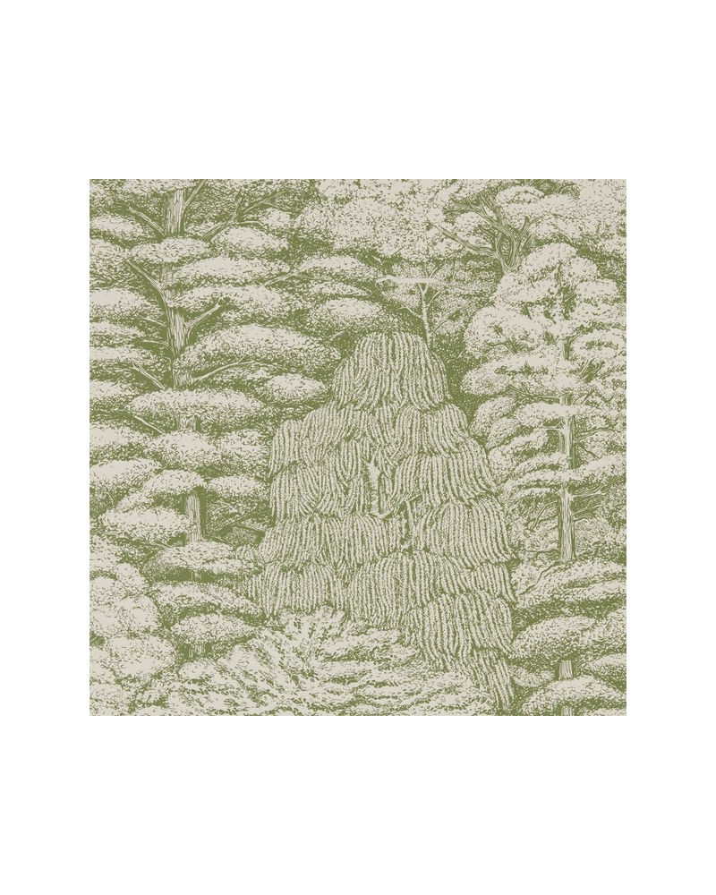 Papel de parede WOODLAND TOILE DWOW215720-cream green - Sanderson