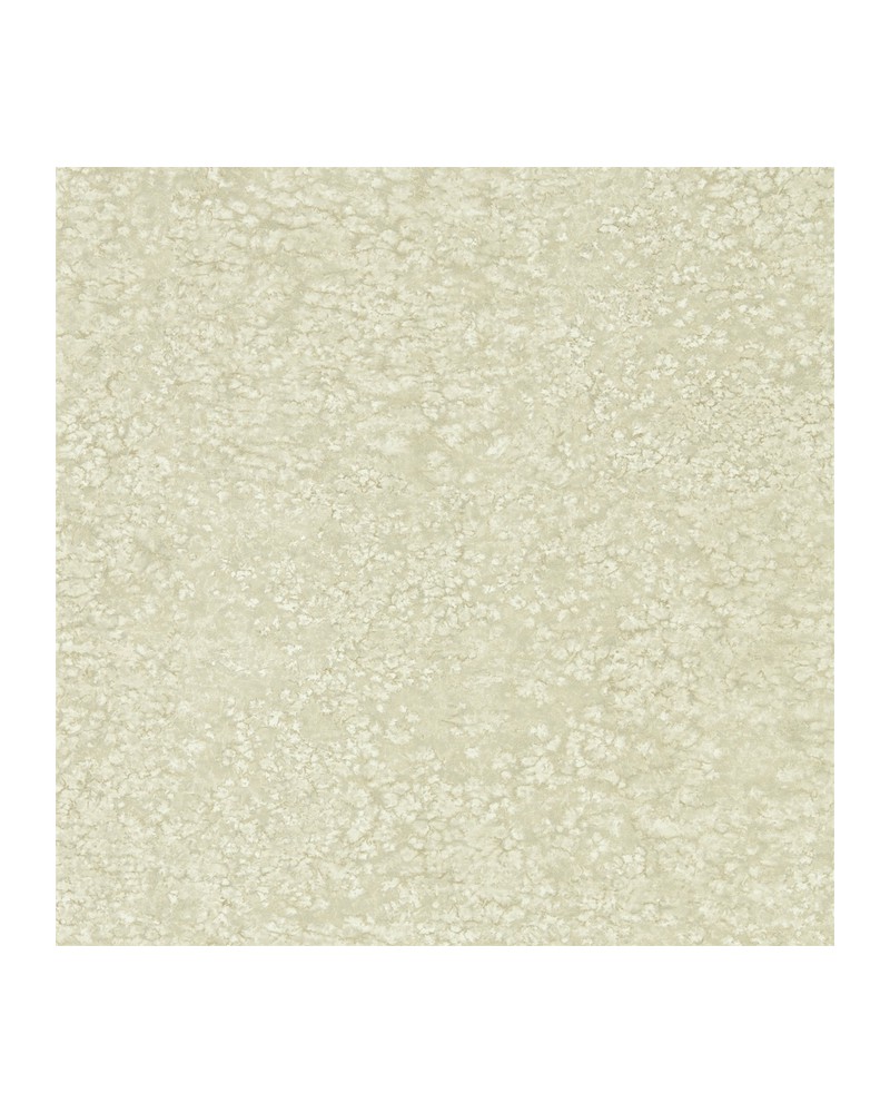 Carta da Parati WEATHERED STONE PLAIN ZKEM312644 - ZOFFANY