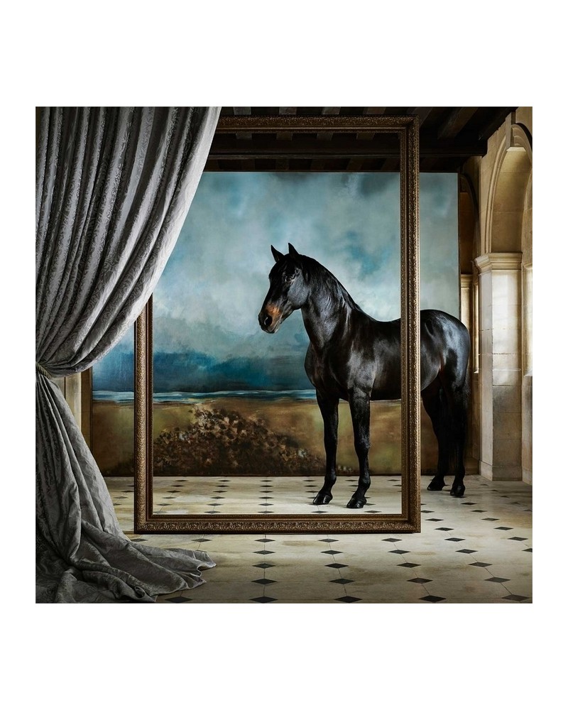 Carta da Parati HOLKHAM BAY ZKEM312665 - ZOFFANY