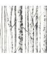 Carta da Parati BIRCH FJ100114 - MAYFLOWER