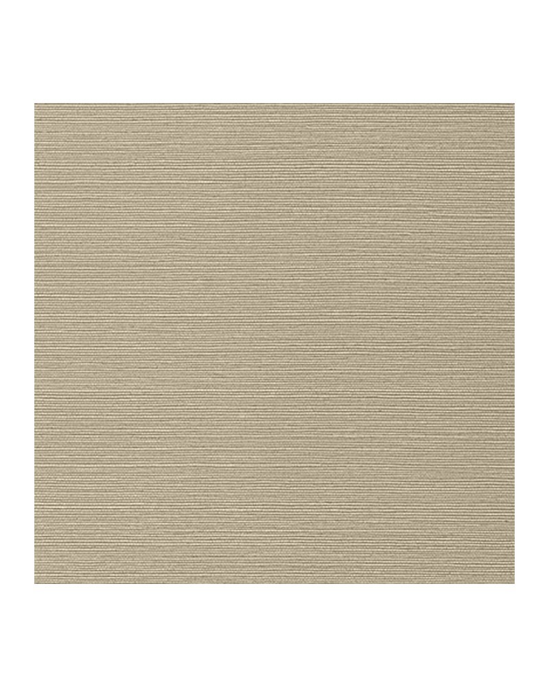 Papel Pintado T75147 TALUK SISAL - THIBAUT