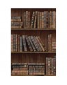 Wallpaper BOOK SHELVES WP20112 - MIND THE GAP