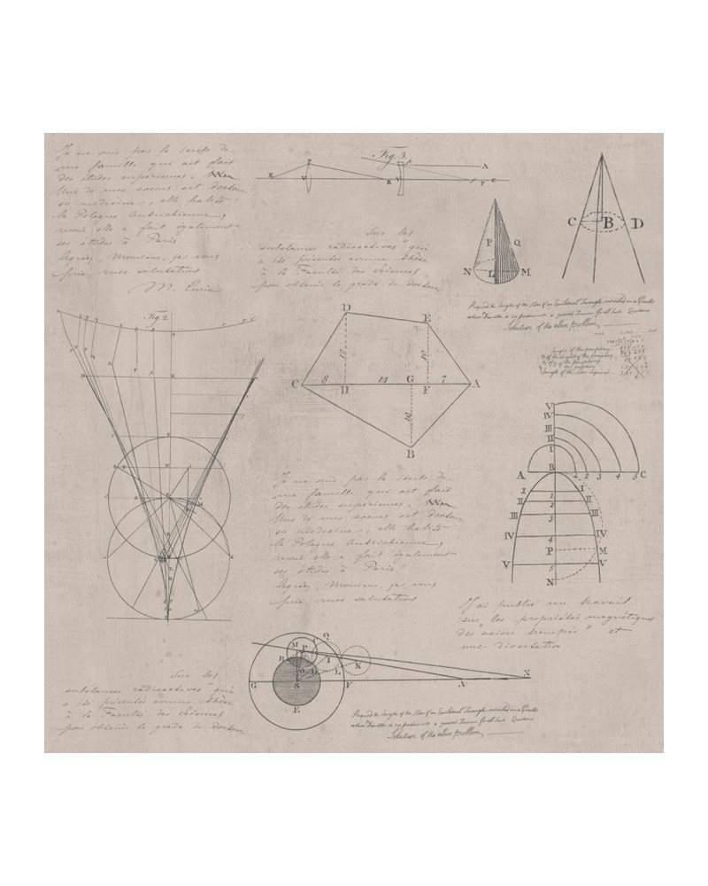 Carta da Parati NEWTON GEOMETRY TAUPE WP20047 - MIND THE GAP