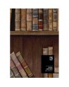 Papel Pintado BOOK SHELVES WP20112 - MIND THE GAP