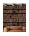 Wallpaper BOOK SHELVES WP20112 - MIND THE GAP