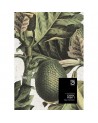 Papel de parede EXOTIC FRUIT I WP20097 - MIND THE GAP