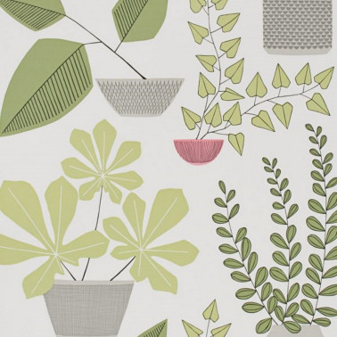 Papel de parede MISP1176 HOUSE PLANTS OLIVE - MISSPRINT