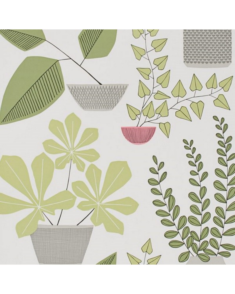 Papel Pintado MISP1176 HOUSE PLANTS OLIVE - MISSPRINT