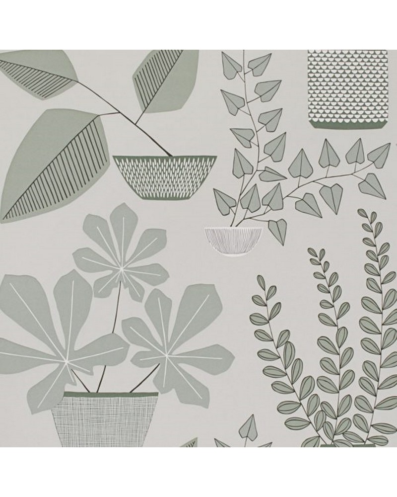 Papel de parede MISP1177 HOUSE PLANTS BRAMPTON - MISSPRINT