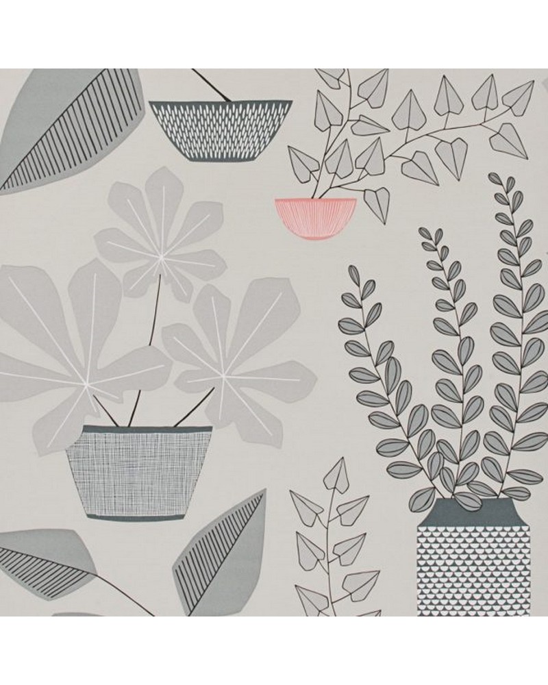 Papel de parede MISP1179 HOUSE PLANTS POMPEII - MISSPRINT