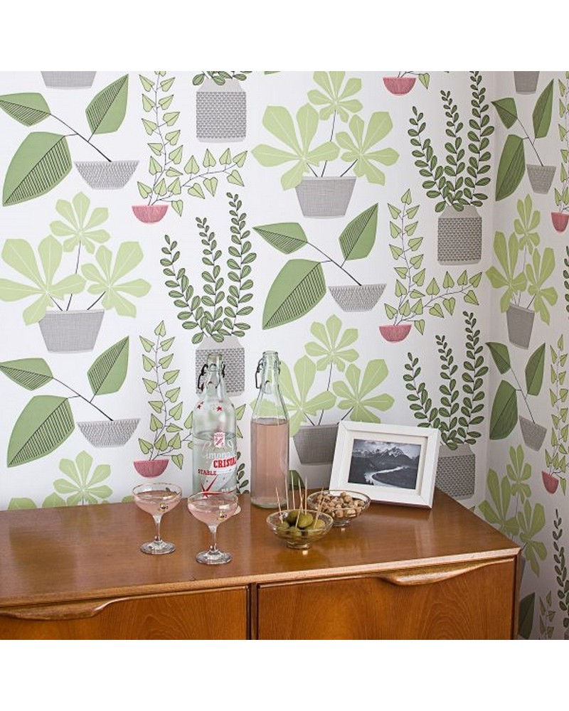 Papel de parede MISP1179 HOUSE PLANTS POMPEII - MISSPRINT