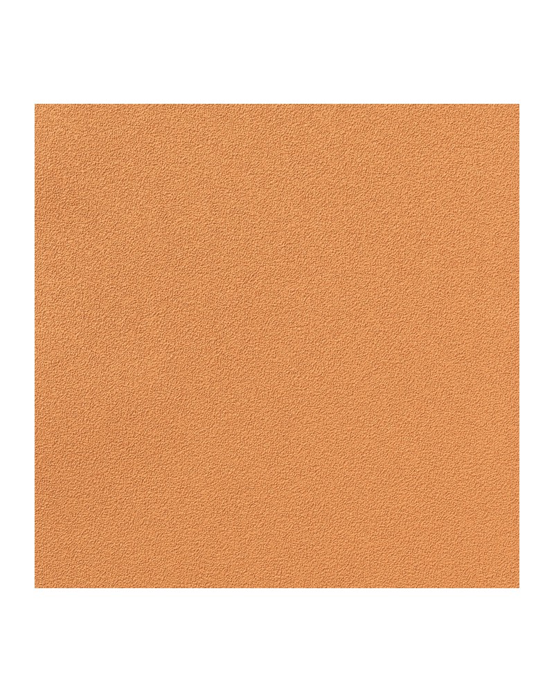 Papier peint COLOUR CHOICE 1056.004 - Vescom