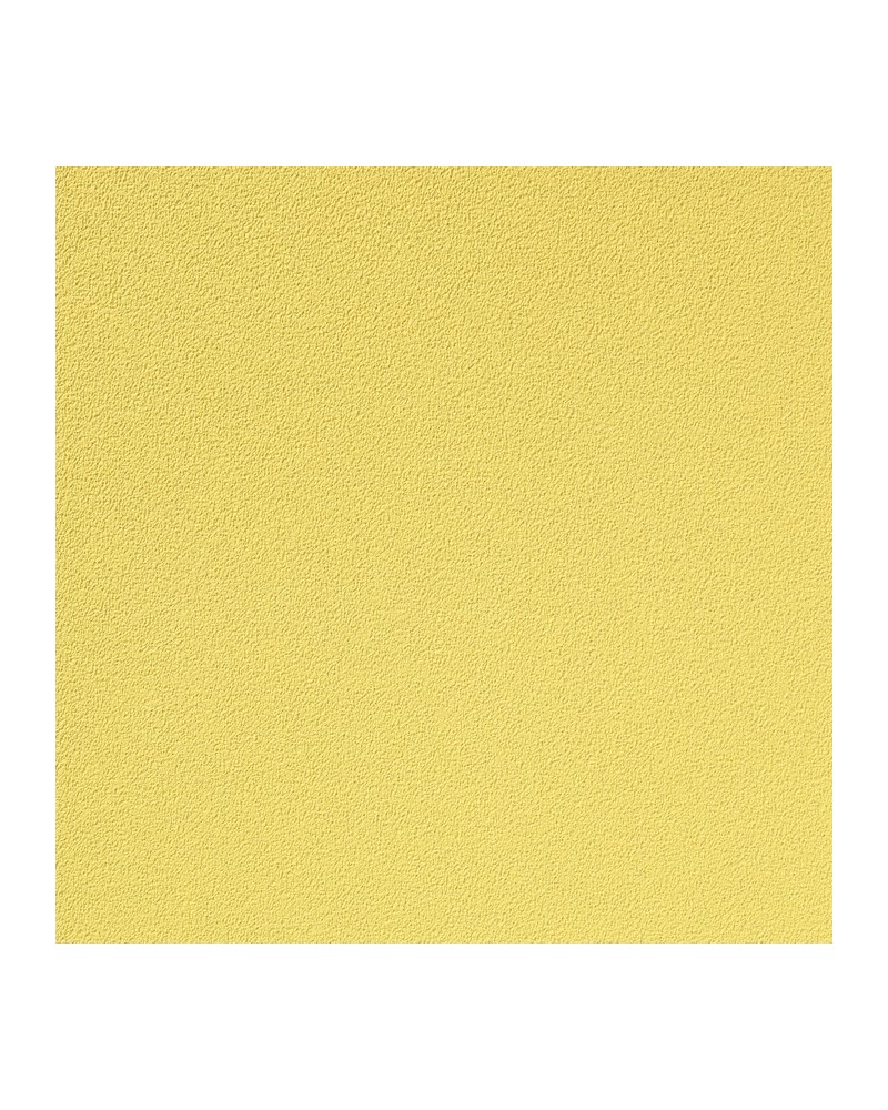 Papier peint COLOUR CHOICE 1056.006 - Vescom