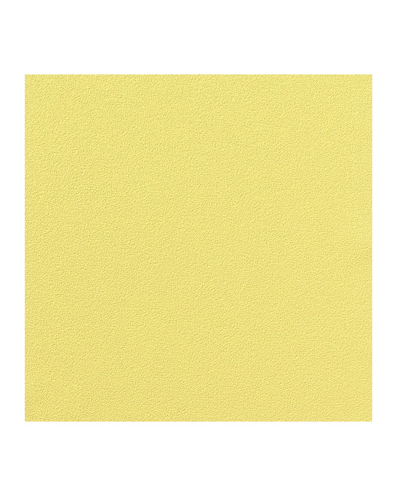 Papier peint COLOUR CHOICE 1056.007 - Vescom