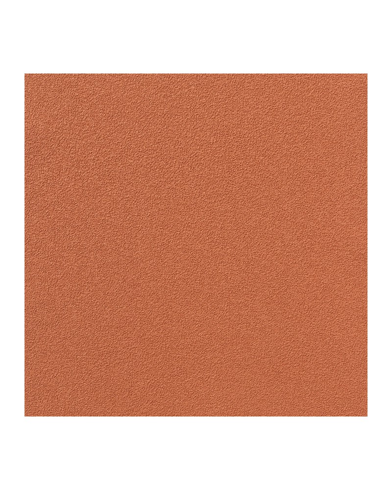 Papier peint COLOUR CHOICE 1056.010 - Vescom