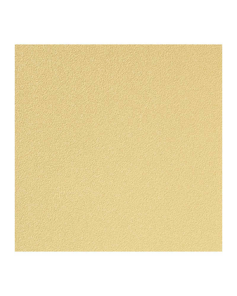 Papier peint COLOUR CHOICE 1056.021 - Vescom