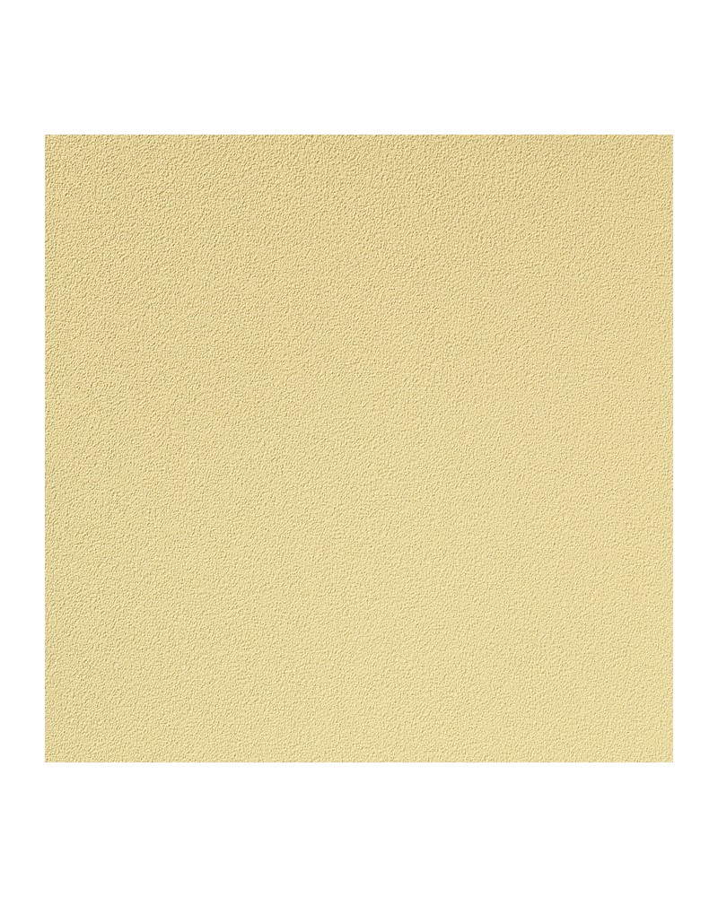 Papier peint COLOUR CHOICE 1056.057 - Vescom