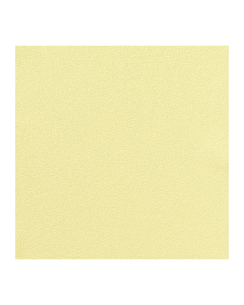 Papier peint COLOUR CHOICE 1056.091 - Vescom