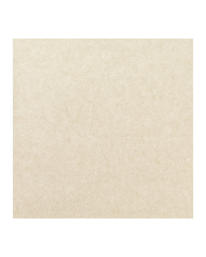 Papier peint PLESO 1026.11 - Vescom