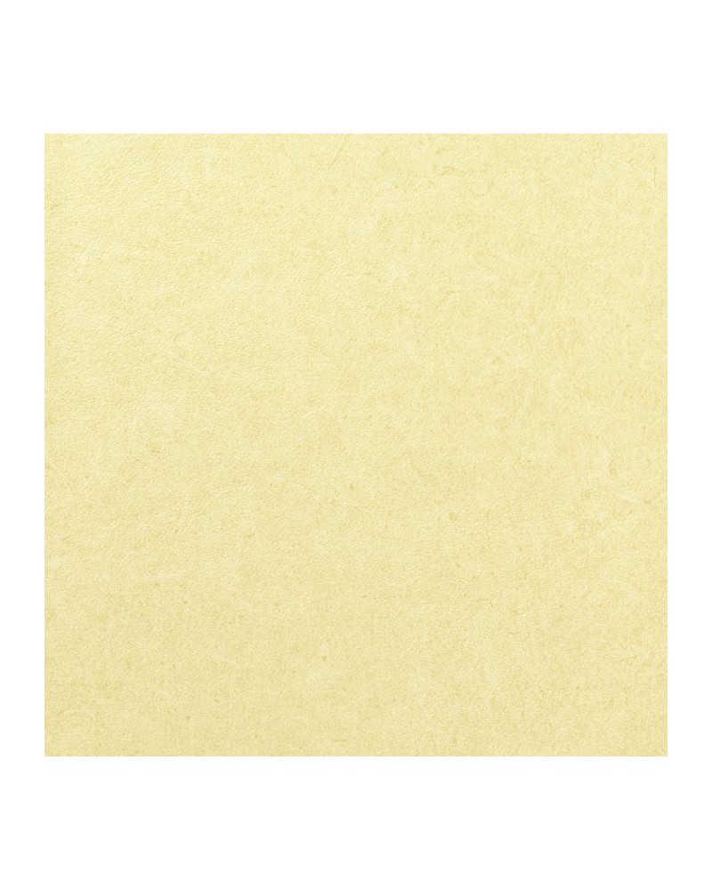 Papier peint PLESO 1026.21 - Vescom