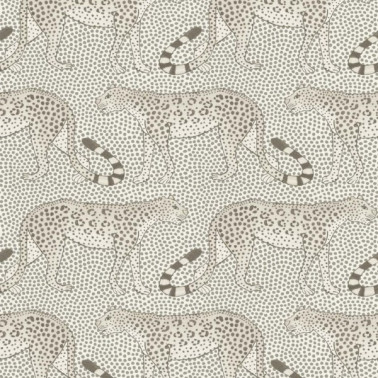 Papel de parede Leopard Walk 109-2011 - COLE and SON