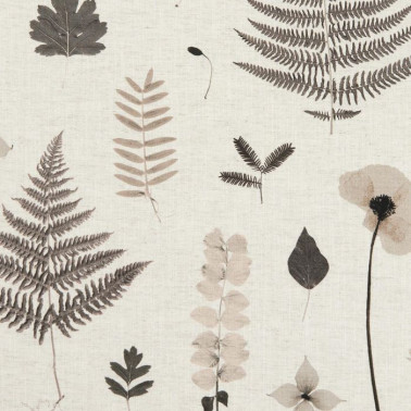 Fabric F1089-02 HERBARIUM CHARCOAL NATURAL CLARKE & CLARKE