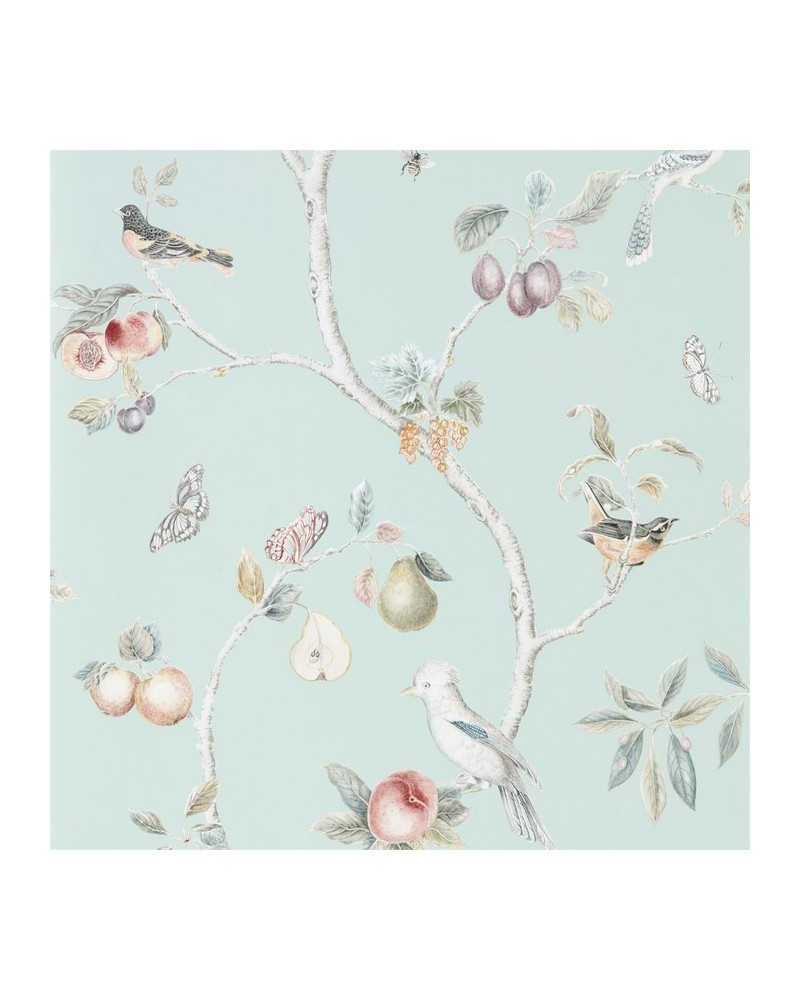 Papel de parede DART216312 FRUIT AVIARY - Sanderson