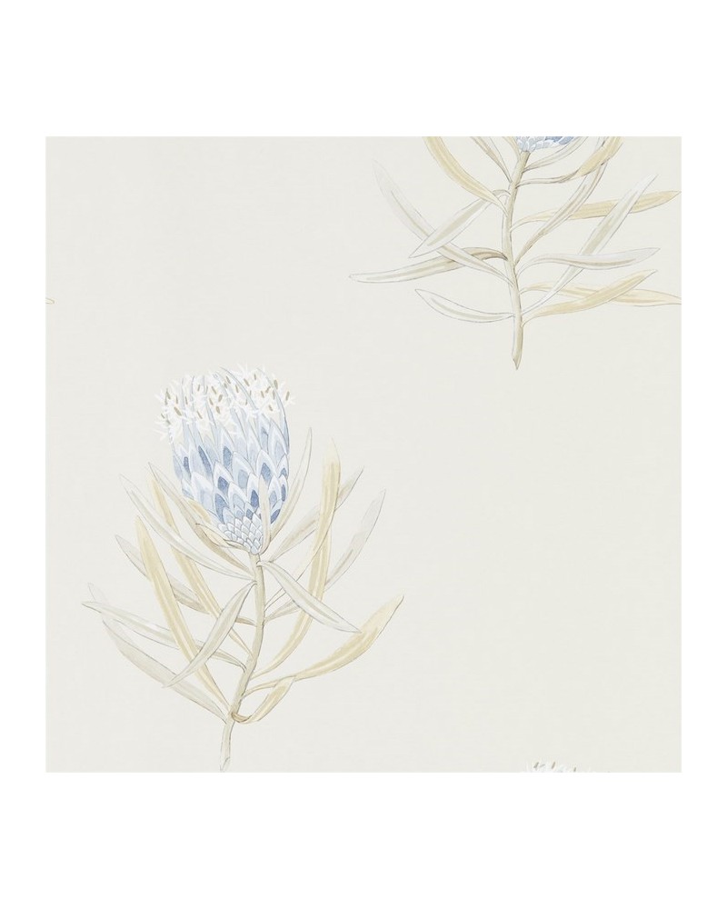 Carta da Parati DART216327 PROTEA FLOWER - Sanderson